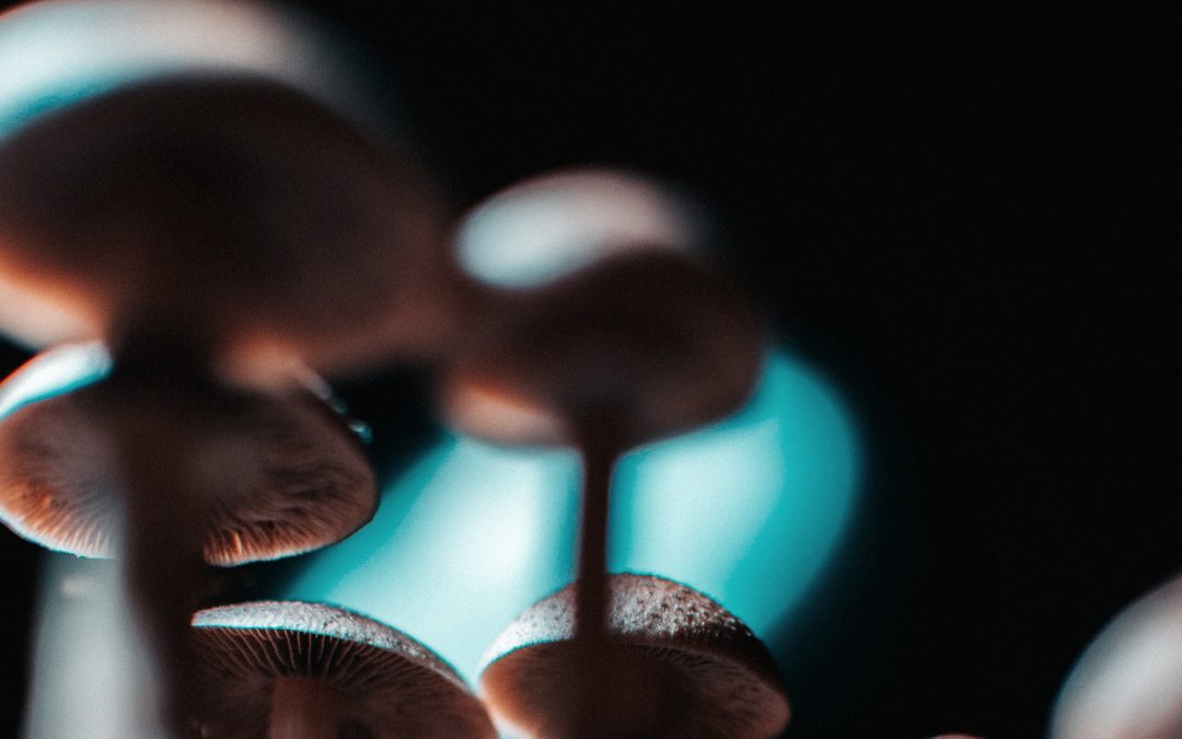 The Future of Medicine: Psychedelic Assisted Therapy